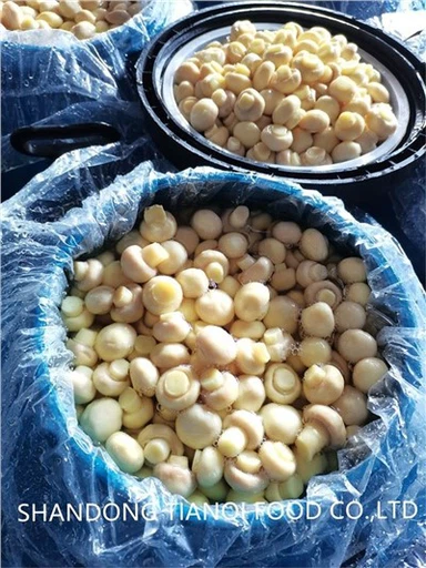 เห็ดในน้ําเกลือในกลองพร้อมฉลากส่วนตัว