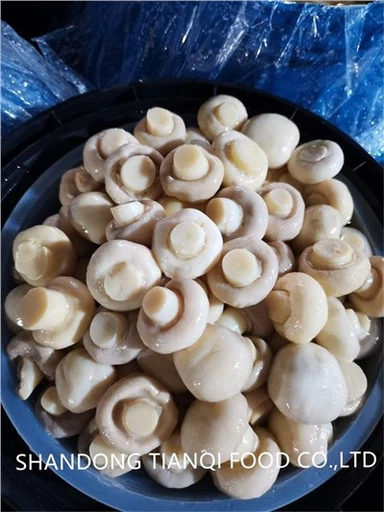 ใหม่ Crop Fresh Brined Slice Mushroom in Drum