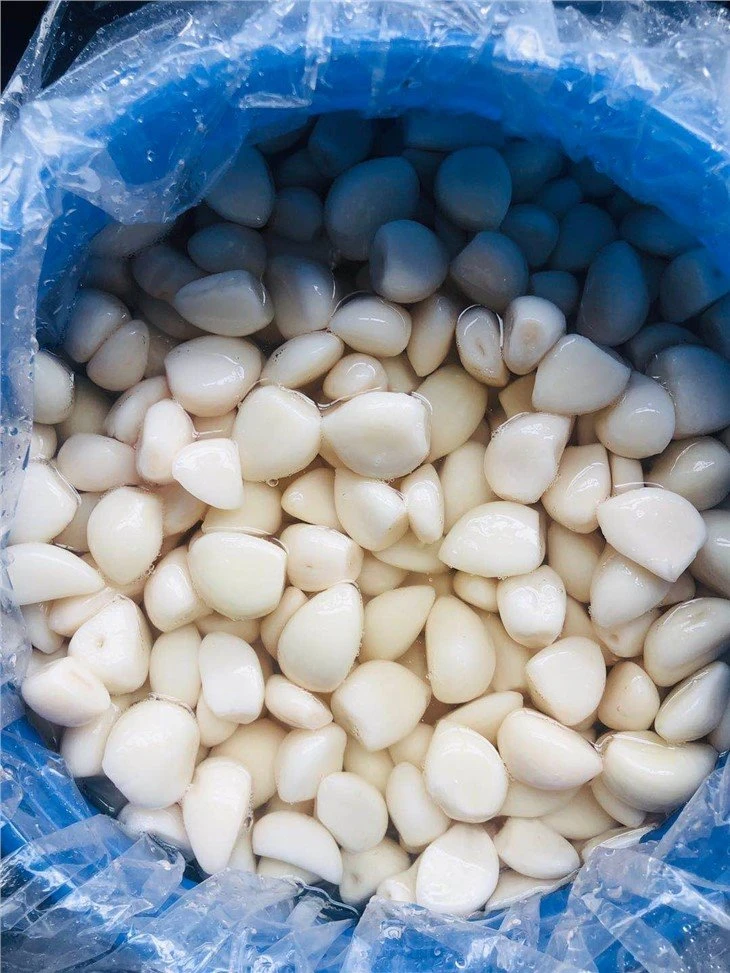 Best normal white garlic in brine in drums