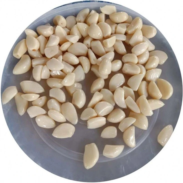 Peeled white garlic in drums in salty water