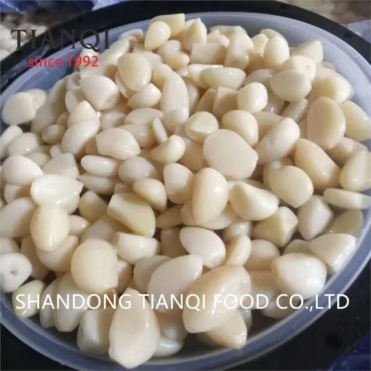 ผู้จัดจำหน่ายกระเทียมปอกเปลือกสด 100 เปอร์เซ็นต์ในน้ำเกลือ