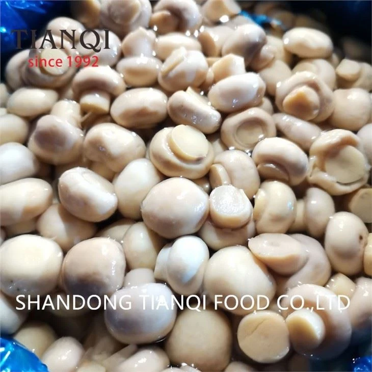 Cultivated White Mushroom in Vinegar in Drums