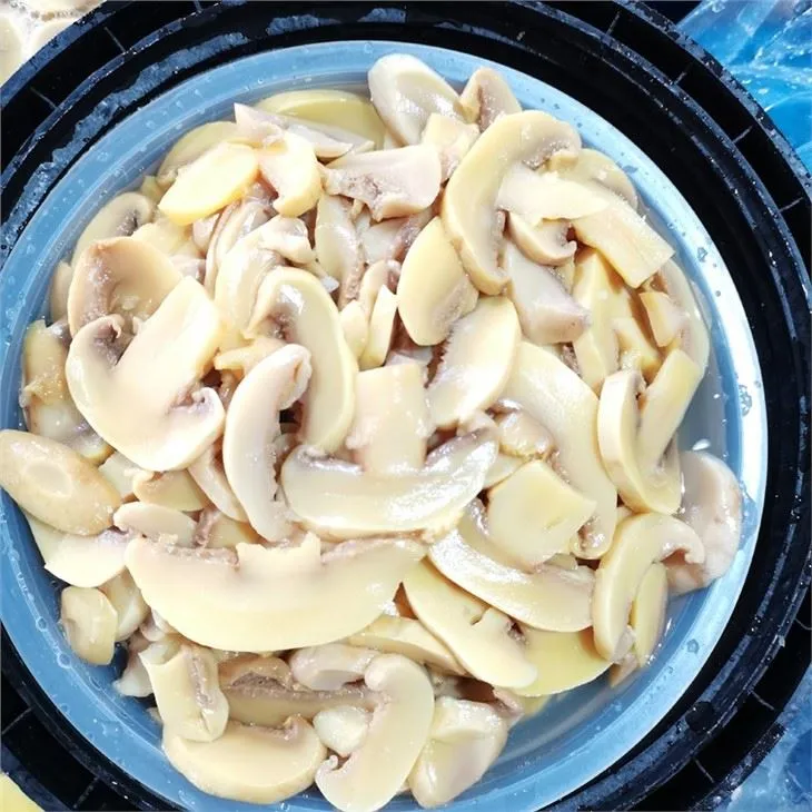 Best sliced white mushroom in drums