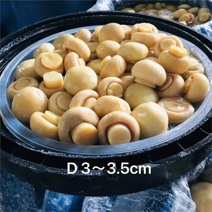 Customized Slice Mushroom in Brine