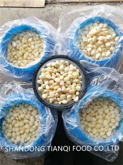ผู้จัดจำหน่ายกระเทียมปอกเปลือกขาวธรรมดาในน้ำเกลือในถัง