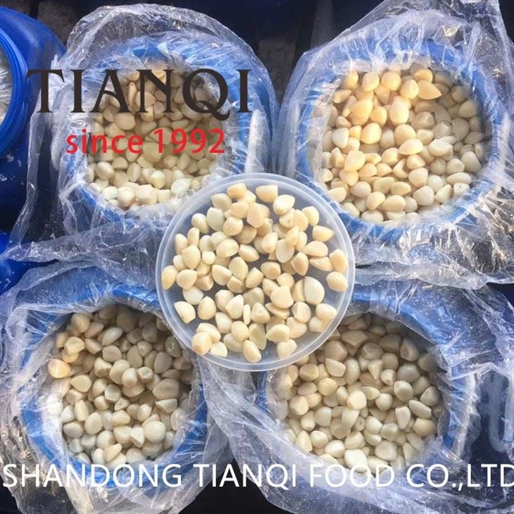2023 New Crop Garlic Cloves in Brine in Drums