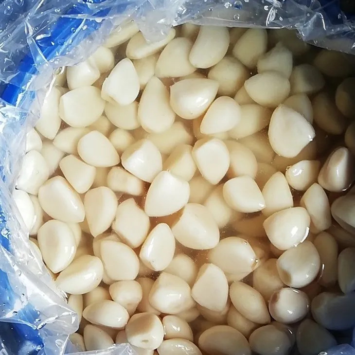 2023 New Crop White Garlic Cloves in Brine in Drums