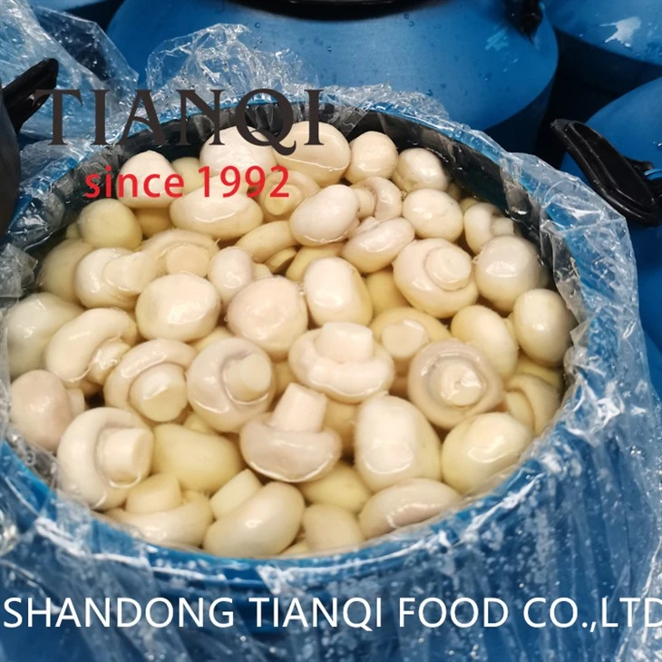 Cultivated Whole White Mushroom in Brine in Drums Cultivated Whole White Mushroom in Brine in Drums
