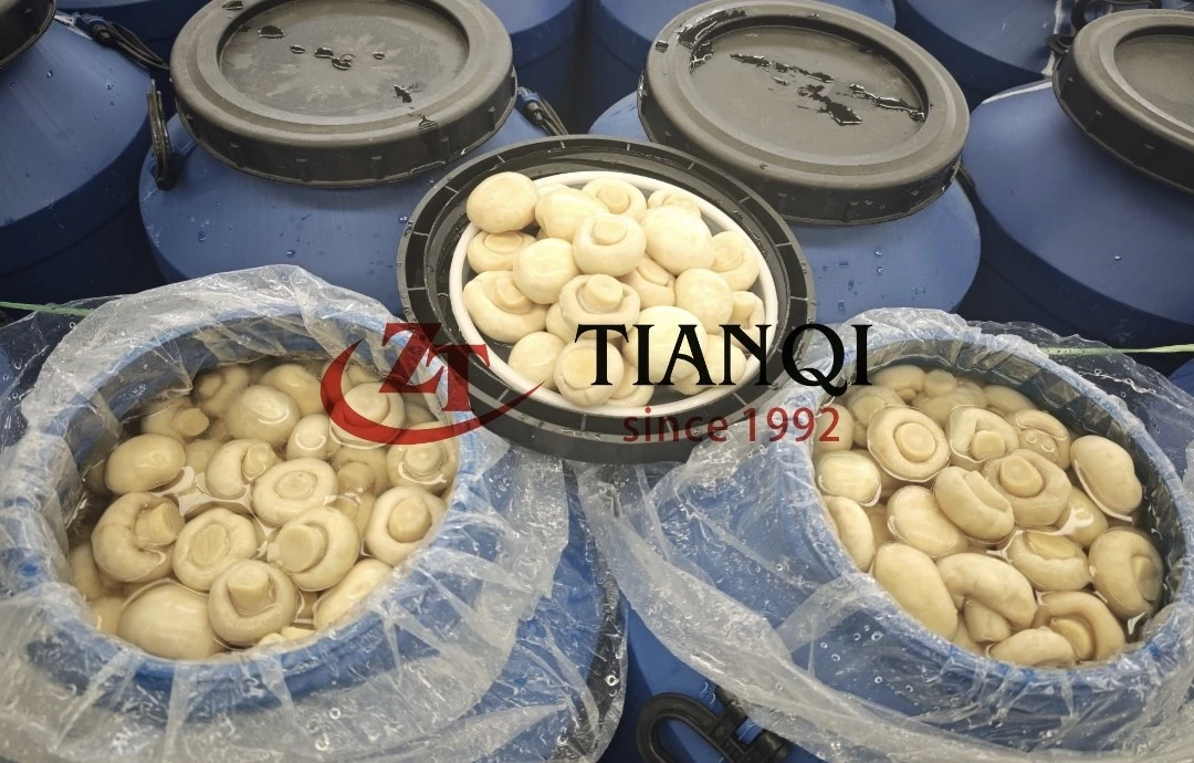 info-1080-690 info-1080-690